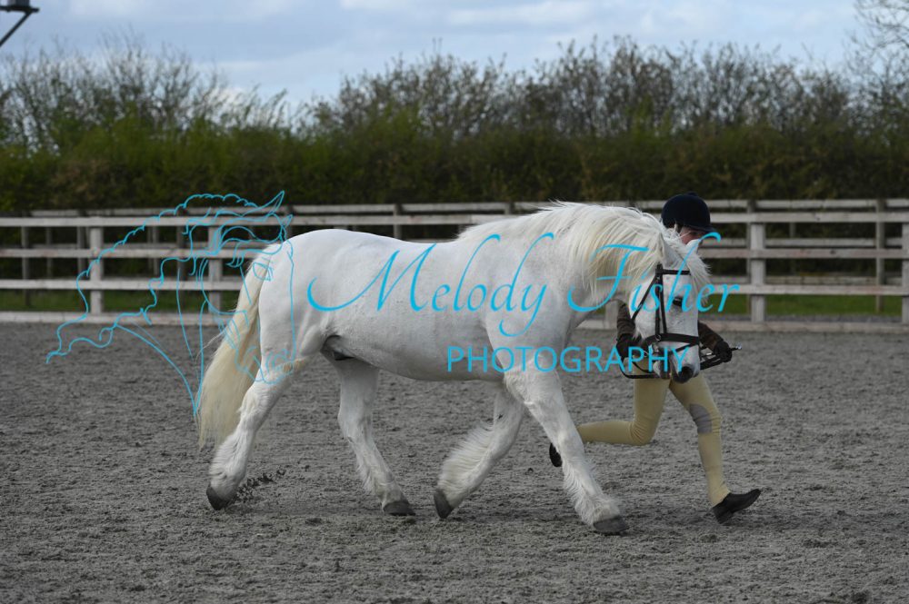 MFP_0281