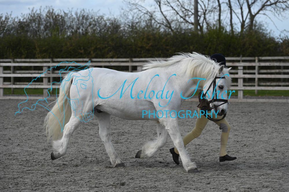 MFP_0282