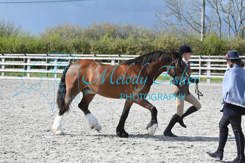 MFP_0347