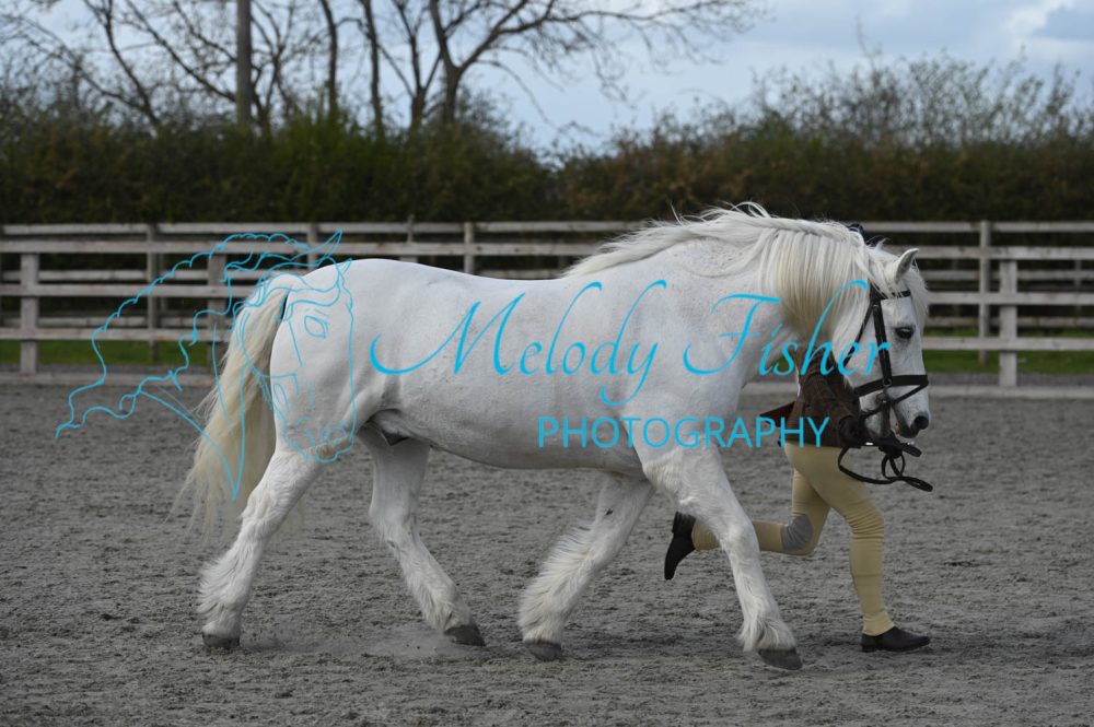 MFP_0283