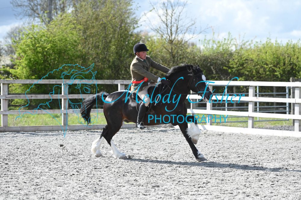 MFP_0419