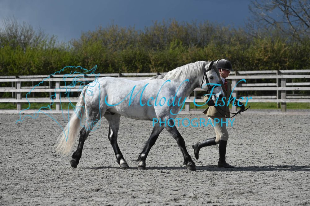 MFP_0352
