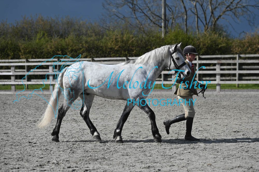 MFP_0353