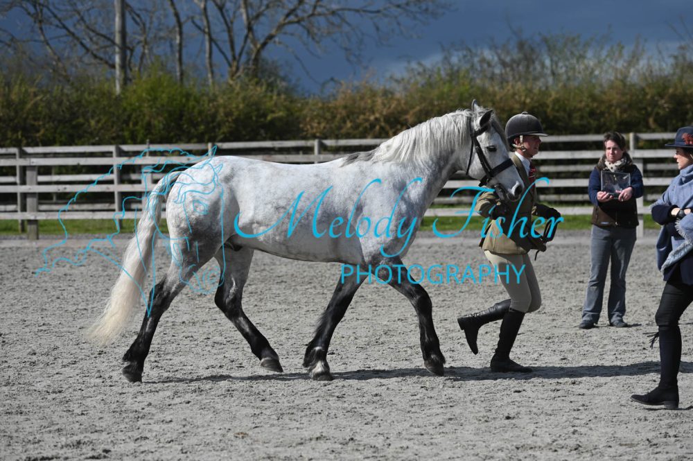 MFP_0354