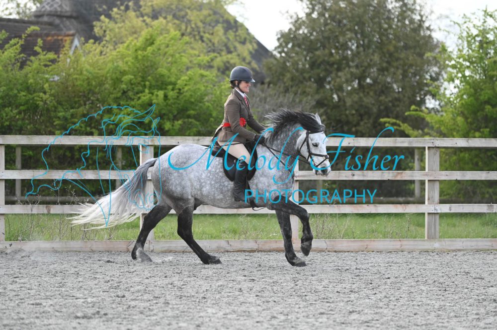 MFP_0293