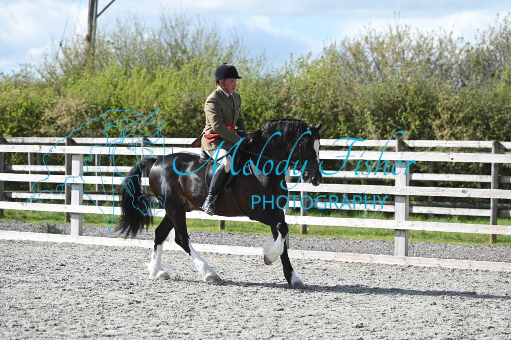 MFP_0365