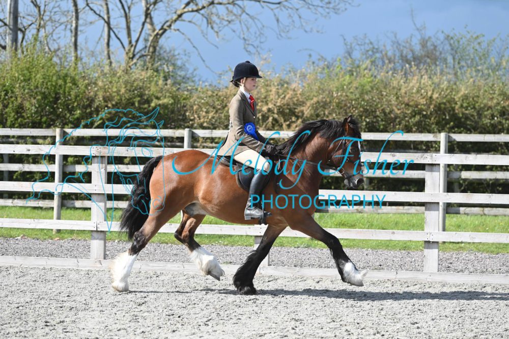 MFP_0367