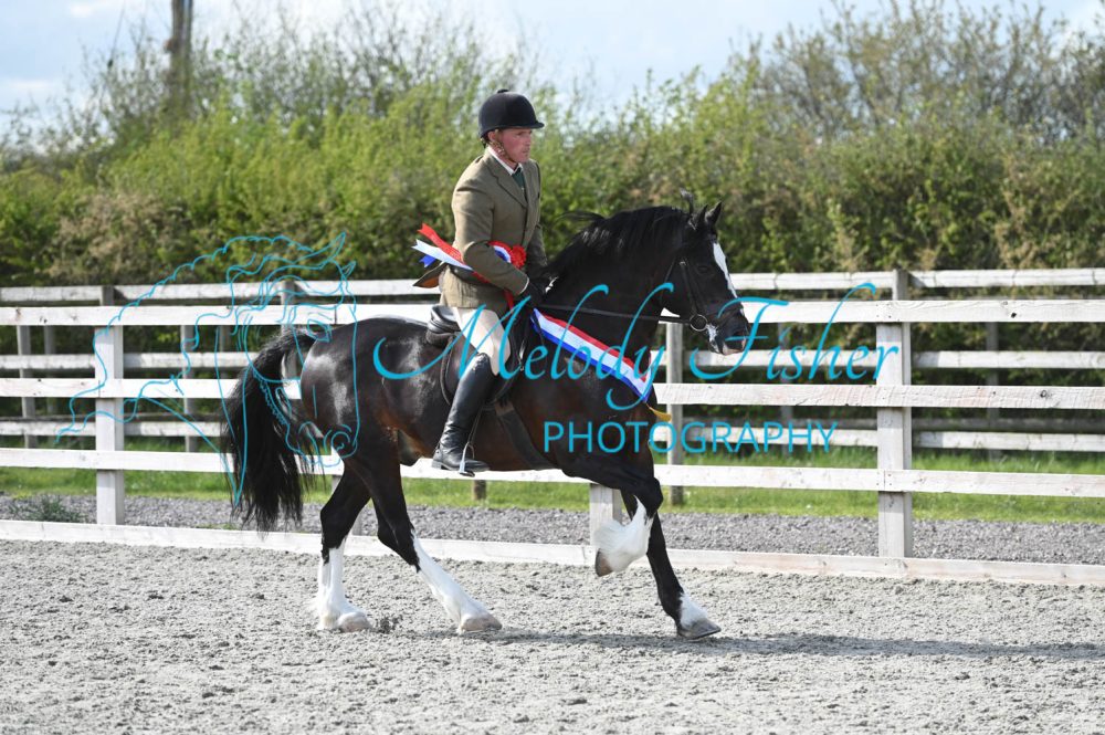 MFP_0459