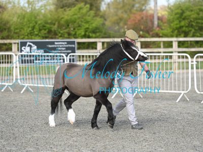 MFP_9195
