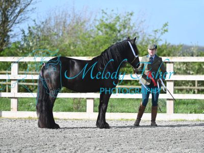 MFP_9172