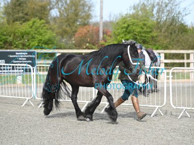 MFP_9078