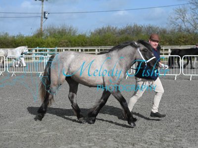 MFP_9056