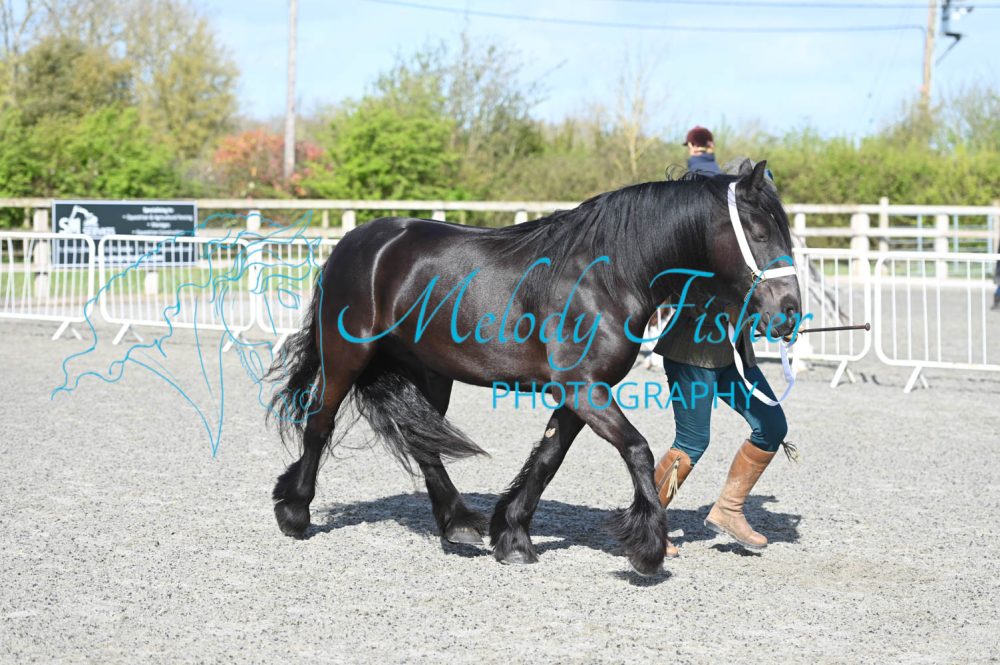 MFP_9224