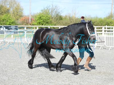 MFP_9224