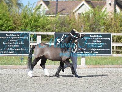 MFP_9242