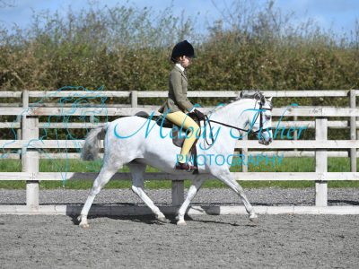 MFP_9291