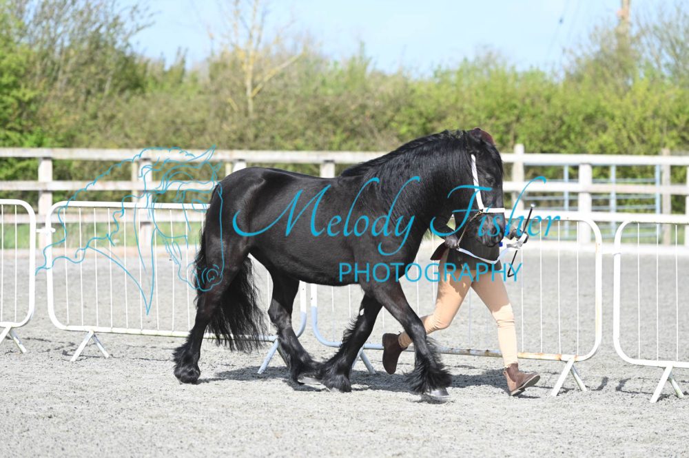MFP_9253