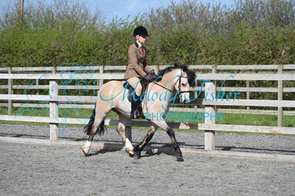 MFP_9335
