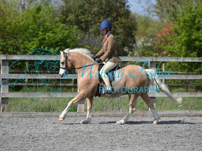 MFP_9468