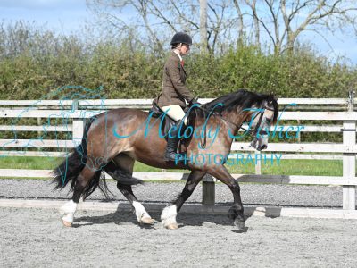 MFP_9676