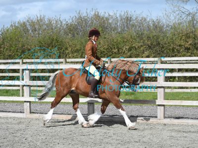 MFP_9677