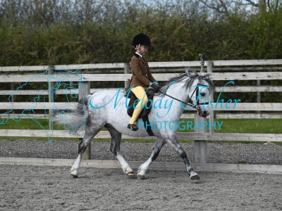 MFP_0079