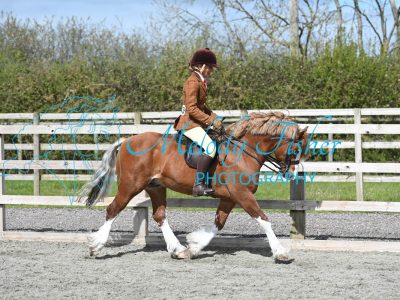 MFP_9678