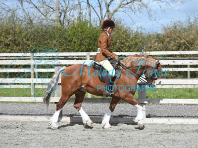 MFP_9679