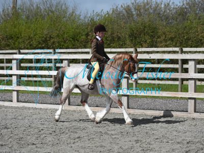 MFP_9944