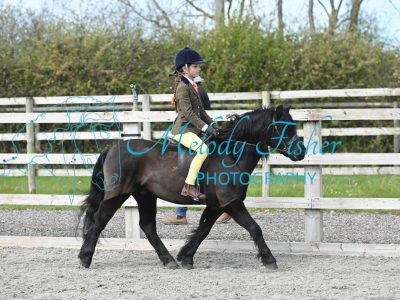 MFP_0084