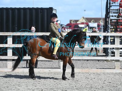MFP_0175