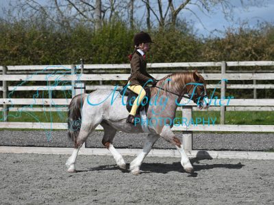 MFP_9945