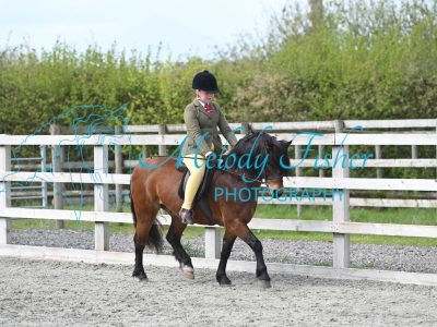 MFP_0085