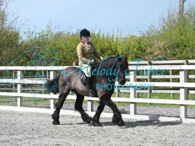 MFP_9946