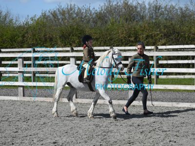 MFP_0177