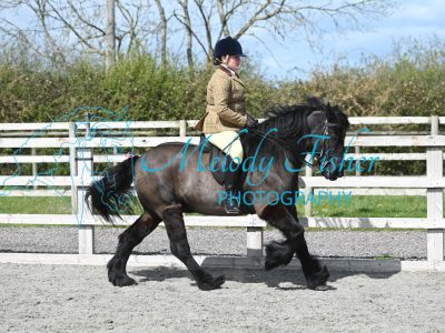 MFP_9948