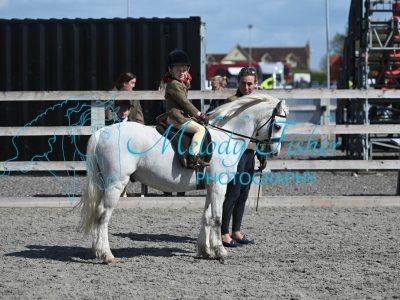 MFP_0181