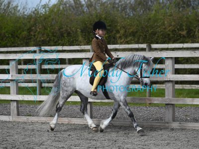 MFP_0090