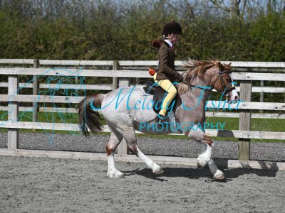 MFP_9951