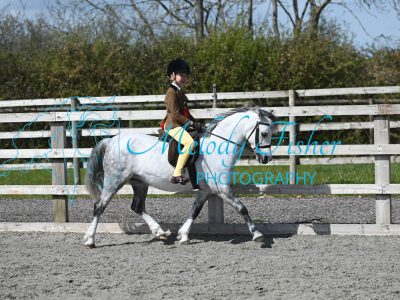 MFP_0184