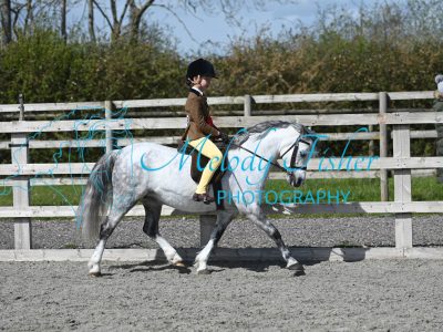 MFP_0185