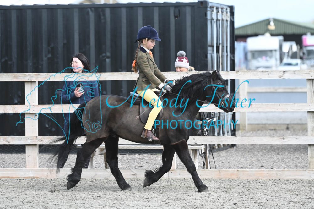 MFP_0094