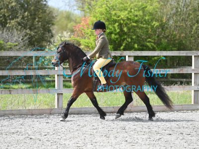 MFP_0097