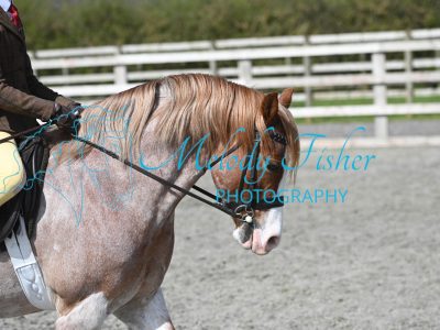MFP_9962