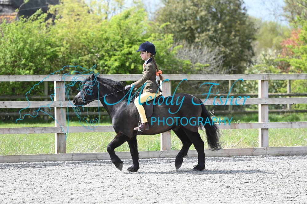 MFP_0099