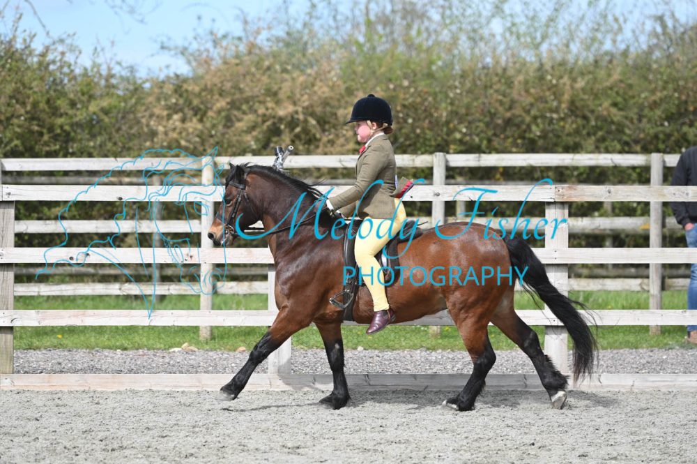 MFP_0138