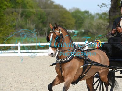 MFP_2539