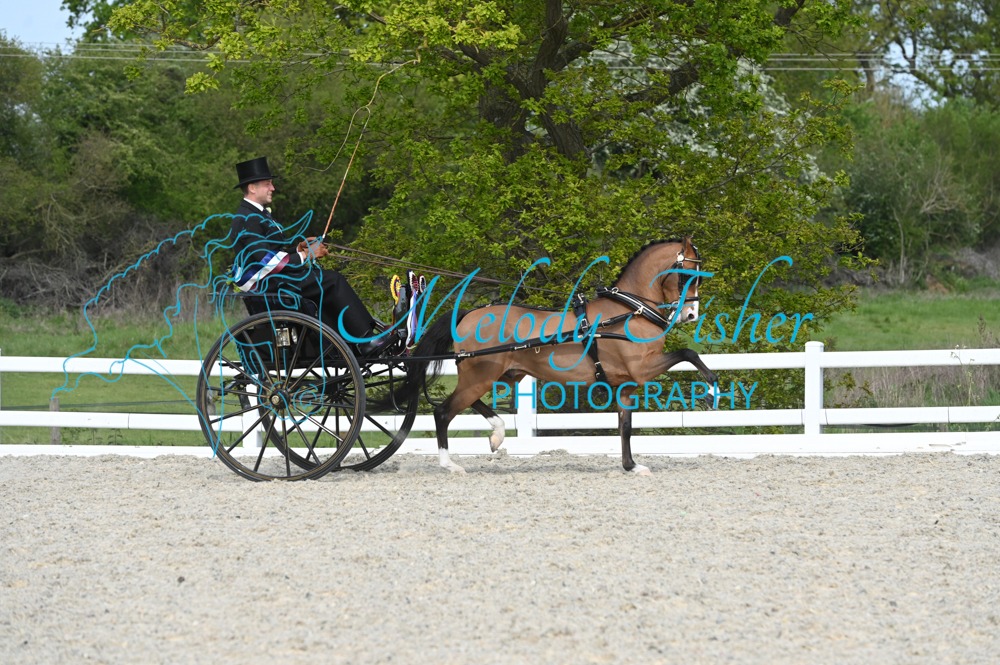 MFP_2572