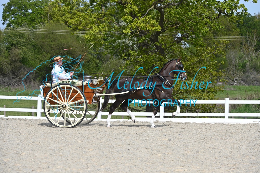 MFP_2382