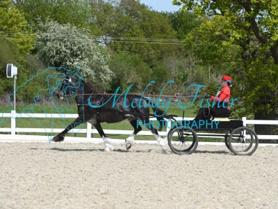 MFP_2192